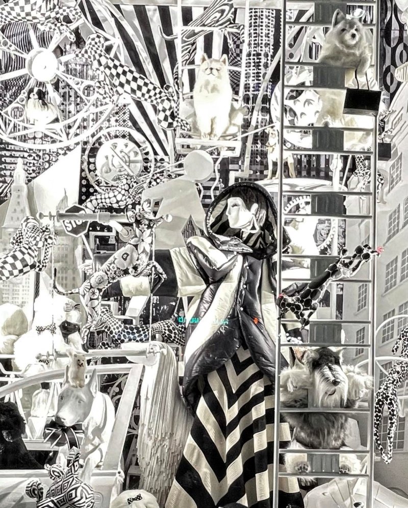 Black-and-white patterned window with dogs and cityscape